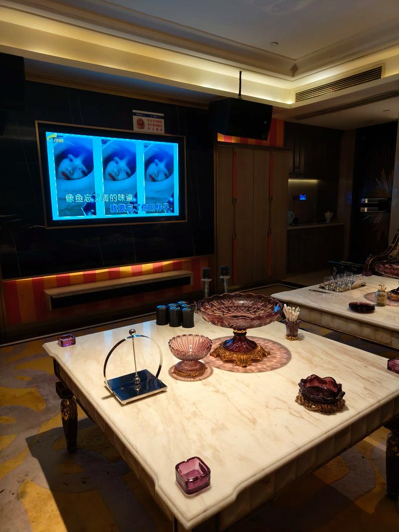 上海商务ktv引领商务ktv新模式-黄浦区ktv预定